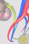 Photo for PTA Balloon Catheter Market Size, Share, Growth, Trends and Forecast Report, 2019 to 2026