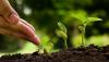 Photo for Global Agricultural Micronutrients Market Research Report - Industry Analysis, Size, Share, Growth, Trends and Forecast Till 2026