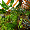 Photo for Global Greenhouse Market Research Report - Industry Analysis, Size, Share, Growth, Trends and Forecast Till 2026