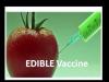 Photo for Global Edible Vaccine Market 2020 | Manufacturers, Regions, Type and Application, Forecast to 2025