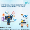 Photo for ASP Dot Net Development Agency Indianapolis, USA