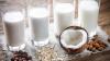 Photo for Global Dairy Alternative Market Size 2020, Industry Growth, Share, Trends Analysis, Price, Competitive Landscape, Outlook And Forecast