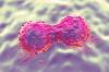 Photo for Global Pertuzumab Market 2020 | Manufacturers, Regions, Type and Application, Forecast to 2025