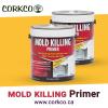 Photo for Mold Killing Primer