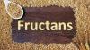 Photo for Global Fructan Market 2020 | Manufacturers, Regions, Type and Application, Forecast to 2025