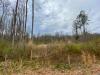Photo for Simpsonville SC Lots for Sale - 123 Kingswood Circle 29681
