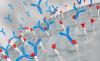 Photo for Immunoprecipitation Market Worth $910.0 Million By 2026