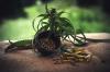 Photo for CBD Nutraceuticals Market Size, Share, Growth, Trends and Forecast Report, 2019 to 2026