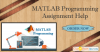 Photo for Looking for MATLAB Programming Assignment Help? Hire Us Today!