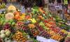 Photo for Non-Durable Goods Merchant Wholesalers Market Regional Analysis, Key Players and Forecast till 2022