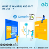 Photo for Xamarin Apps Development Agency Indianapolis, USA