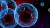 Photo for Global Exosomes Market 2020 | Manufacturers Regions Type And Application Forecast To 2025