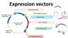 Photo for Global Expression Vectors Market 2020 | Manufacturers Regions Type And Application Forecast To 2025