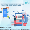 Photo for Ionic Apps Development Company Indianapolis, USA
