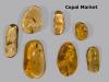 Photo for Copal Market Provides An In-Depth Insight Of Sales And Trends Forecast To 2024