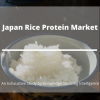 Photo for Comprehensive Report on Japan Rice Protein Market
