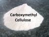 Photo for Global Carboxymethyl Cellulose Market Research Report - Industry Analysis, Size, Share, Growth, Trends and Forecast Till 2026