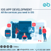 Photo for Ios Apps Development Agency Indianapolis, USA
