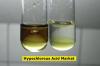 Photo for Global Hypochlorous Acid Market: Huge Growth Opportunities, Trends And Forecast To 2024