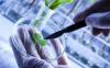 Photo for Plant Genotyping Equipment Market Size, Share, Growth, Trends and Industry Analysis Report, 2018 to 2025