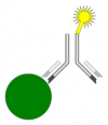 Photo for Global Fluorescent Immunoassay Market 2020 | Manufacturers, Regions, Type And Application, Forecast To 2025