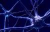 Photo for Global Neuroleptic Market 2020 | Manufacturers, Regions, Type And Application, Forecast To 2025