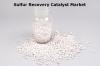 Photo for Sulfur Recovery Catalyst Market Size, Share, Growth, Strategies, Trends, Analysis And Forecast To 2026
