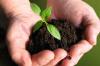 Photo for Global Bio Fertilizers Market 2020 | Manufacturers Regions Type And Application Forecast To 2025