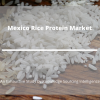 Photo for Comprehensive Report on Mexico Rice Protein Market