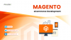 Photo for Magento eCommerce Development Company in India