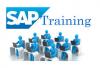 Photo for Join SAP Training and Certification Courses in Chandigarh