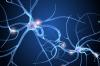 Photo for Central Nervous System Drugs Market Industry Overview and Competitive Landscape Till 2022