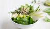 Photo for Why Should We Ingest Probiotics?