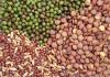 Photo for Vegetable Seed Market 2020 Top Comapny Profiles with Forecast Till 2025