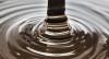 Photo for Global Chocolate Liquor Market 2020 | Manufacturers, Regions, Type And Application, Forecast To 2025