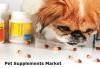 Photo for Global Pet Supplements Market Research Report, Analysis, Forecast And Outlook To 2026