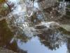 Photo for Watery Spirit