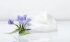 Photo for Global Allantoin Market Research Report - Industry Analysis, Size, Share, Growth, Trends and Forecast Till 2026