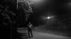 Photo for Chichester, NY