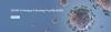 Photo for cyp4z1 antibody
