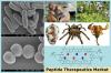 Photo for Peptide Therapeutics Market: Huge Growth Opportunities, Trends And Forecast To 2028