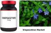 Photo for Global Vinpocetine Market Size, Analysis, Statistics, Trends, Forecast Report, 2028
