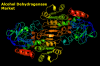 Photo for Alcohol Dehydrogenase Market Demands, Types, Projected Industry Size & Shares 2028