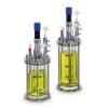Photo for Global Parallel Bioreactors Market 2020 | Manufacturers, Regions, Type And Application, Forecast To 2025