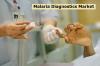 Photo for Malaria Diagnostics Market Business Analysis, Scope, Size, Trends, Demand, Overview, Forecast 2026