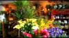 Photo for Village Green Flower Shop.  Wilmington, DE.  [video]