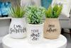 Photo for Global Flowerpots Market 2020 | Manufacturers, Regions, Type And Application, Forecast To 2025