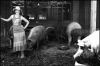 Photo for Local Luminary - Jenny Brown, Woodstock Farm Animal Sanctuary