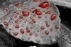 Photo for Liquid Biopsy Market Estimated To Grow At Impressive CAGR Of In The Forecast Period (2020-2023)