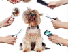 Photo for Happy Tails Pet Spa